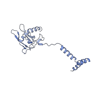 22090_6x89_S8_v1-0
Vigna radiata mitochondrial complex I*