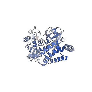 22090_6x89_V1_v1-0
Vigna radiata mitochondrial complex I*
