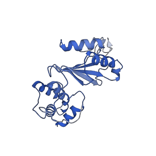 22090_6x89_V2_v1-0
Vigna radiata mitochondrial complex I*