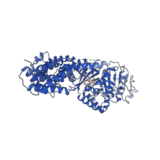 33056_7x8a_D_v1-1
Cryo-EM structure of a bacterial protein complex