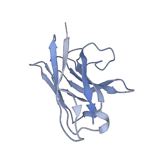 33058_7x8s_N_v1-0
Cryo-EM structure of the WB4-24-bound hGLP-1R-Gs complex