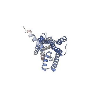 33058_7x8s_R_v1-0
Cryo-EM structure of the WB4-24-bound hGLP-1R-Gs complex