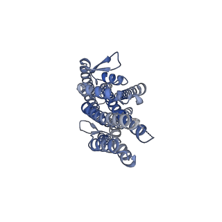 38133_8x82_B_v1-2
The cryo-EM structure of insect gustatory receptor Gr43a I418A from Drosophila melanogaster