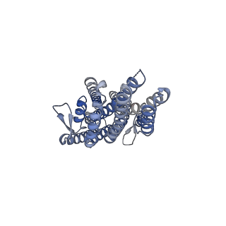 38133_8x82_C_v1-2
The cryo-EM structure of insect gustatory receptor Gr43a I418A from Drosophila melanogaster