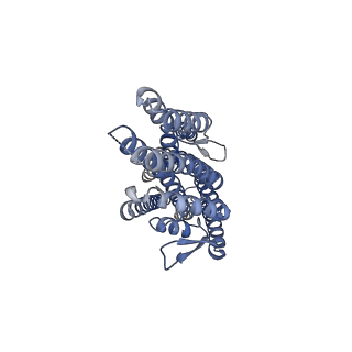 38133_8x82_D_v1-2
The cryo-EM structure of insect gustatory receptor Gr43a I418A from Drosophila melanogaster