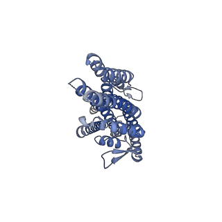 38134_8x83_D_v1-2
The cryo-EM structure of insect gustatory receptor Gr43a I418A from Drosophila melanogaster in complex with fructose