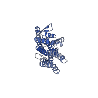 38135_8x84_B_v1-2
The cryo-EM structure of insect gustatory receptor Gr43a I418A from Drosophila melanogaster in complex with fructose and calcium