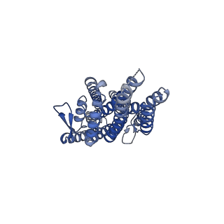 38135_8x84_C_v1-2
The cryo-EM structure of insect gustatory receptor Gr43a I418A from Drosophila melanogaster in complex with fructose and calcium