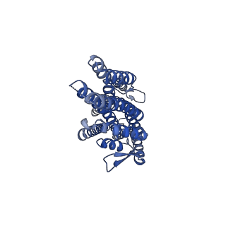 38135_8x84_D_v1-2
The cryo-EM structure of insect gustatory receptor Gr43a I418A from Drosophila melanogaster in complex with fructose and calcium