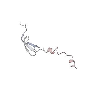 6709_5x8p_0_v1-4
Structure of the 70S chloroplast ribosome from spinach