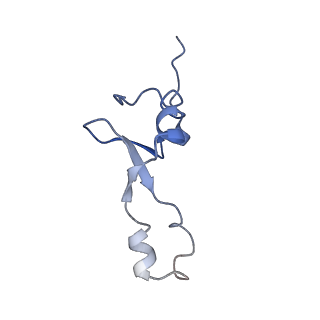 6709_5x8p_4_v1-4
Structure of the 70S chloroplast ribosome from spinach