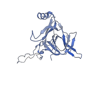 6709_5x8p_D_v1-4
Structure of the 70S chloroplast ribosome from spinach