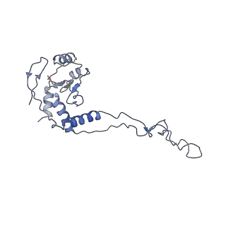 6709_5x8p_E_v1-4
Structure of the 70S chloroplast ribosome from spinach