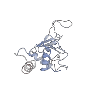 6709_5x8p_F_v1-4
Structure of the 70S chloroplast ribosome from spinach