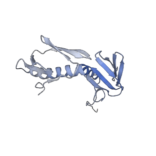 6709_5x8p_G_v1-4
Structure of the 70S chloroplast ribosome from spinach