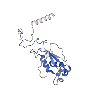 6709_5x8p_K_v1-3
Structure of the 70S chloroplast ribosome from spinach