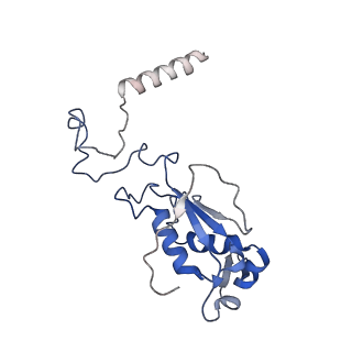 6709_5x8p_K_v1-4
Structure of the 70S chloroplast ribosome from spinach