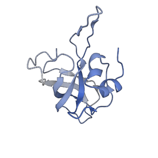 6709_5x8p_L_v1-4
Structure of the 70S chloroplast ribosome from spinach