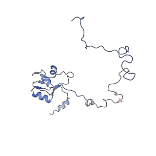 6709_5x8p_M_v1-4
Structure of the 70S chloroplast ribosome from spinach