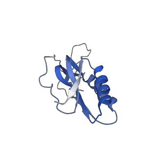 6709_5x8p_N_v1-3
Structure of the 70S chloroplast ribosome from spinach
