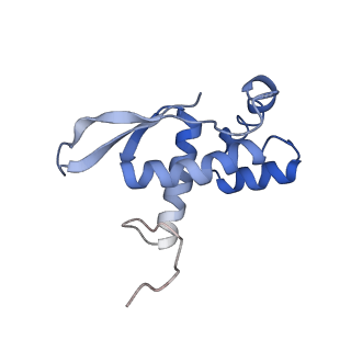 6709_5x8p_O_v1-4
Structure of the 70S chloroplast ribosome from spinach