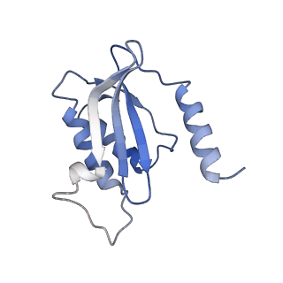 6709_5x8p_P_v1-4
Structure of the 70S chloroplast ribosome from spinach