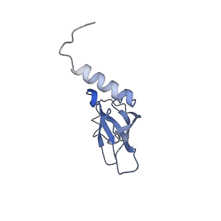 6709_5x8p_Q_v1-3
Structure of the 70S chloroplast ribosome from spinach