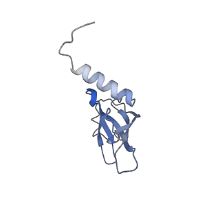 6709_5x8p_Q_v1-4
Structure of the 70S chloroplast ribosome from spinach
