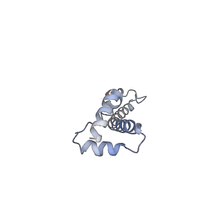 6709_5x8p_R_v1-4
Structure of the 70S chloroplast ribosome from spinach