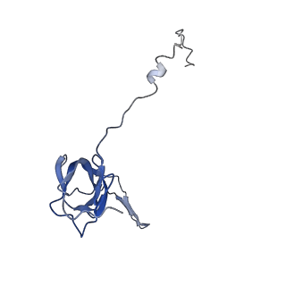 6709_5x8p_S_v1-4
Structure of the 70S chloroplast ribosome from spinach