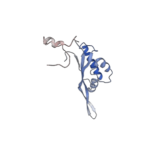 6709_5x8p_T_v1-4
Structure of the 70S chloroplast ribosome from spinach