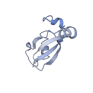 6709_5x8p_U_v1-4
Structure of the 70S chloroplast ribosome from spinach