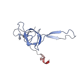 6709_5x8p_V_v1-4
Structure of the 70S chloroplast ribosome from spinach