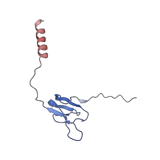 6709_5x8p_X_v1-4
Structure of the 70S chloroplast ribosome from spinach