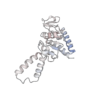 6709_5x8p_b_v1-3
Structure of the 70S chloroplast ribosome from spinach