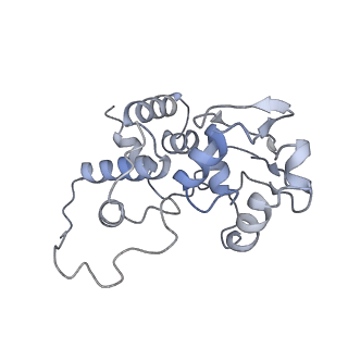 6709_5x8p_d_v1-4
Structure of the 70S chloroplast ribosome from spinach