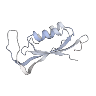 6709_5x8p_f_v1-4
Structure of the 70S chloroplast ribosome from spinach