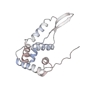 6709_5x8p_g_v1-4
Structure of the 70S chloroplast ribosome from spinach