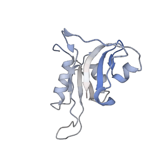 6709_5x8p_h_v1-4
Structure of the 70S chloroplast ribosome from spinach