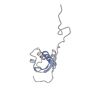 6709_5x8p_i_v1-4
Structure of the 70S chloroplast ribosome from spinach