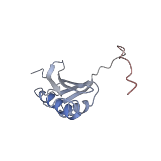 6709_5x8p_k_v1-4
Structure of the 70S chloroplast ribosome from spinach