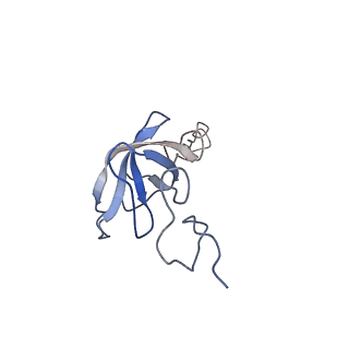 6709_5x8p_l_v1-4
Structure of the 70S chloroplast ribosome from spinach