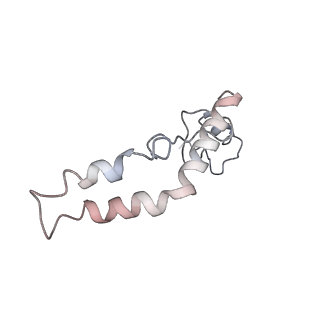 6709_5x8p_n_v1-4
Structure of the 70S chloroplast ribosome from spinach