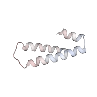 6709_5x8p_o_v1-4
Structure of the 70S chloroplast ribosome from spinach