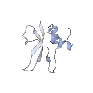 6709_5x8p_p_v1-4
Structure of the 70S chloroplast ribosome from spinach