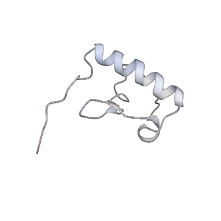 6709_5x8p_r_v1-4
Structure of the 70S chloroplast ribosome from spinach