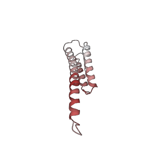 6709_5x8p_t_v1-4
Structure of the 70S chloroplast ribosome from spinach