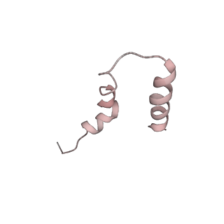 6709_5x8p_u_v1-4
Structure of the 70S chloroplast ribosome from spinach