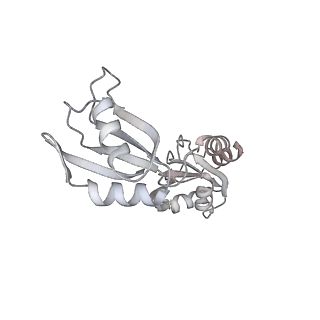 6709_5x8p_v_v1-3
Structure of the 70S chloroplast ribosome from spinach