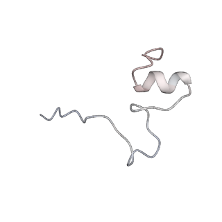 6709_5x8p_x_v1-4
Structure of the 70S chloroplast ribosome from spinach